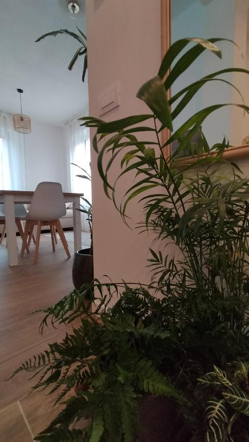 Valtellina Vacanze Sondrio Zewnętrze zdjęcie